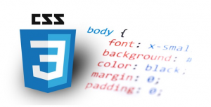 CSS Web Development