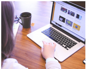 Website Designer