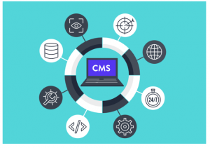 content management systems