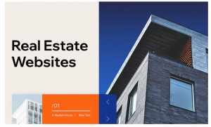 Real Estate Web Development