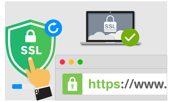 SSL Certificate Website