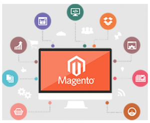 Magento Web Development